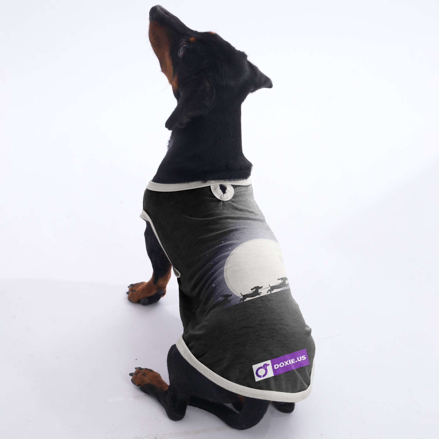 Abby - Shirt for Dachshunds