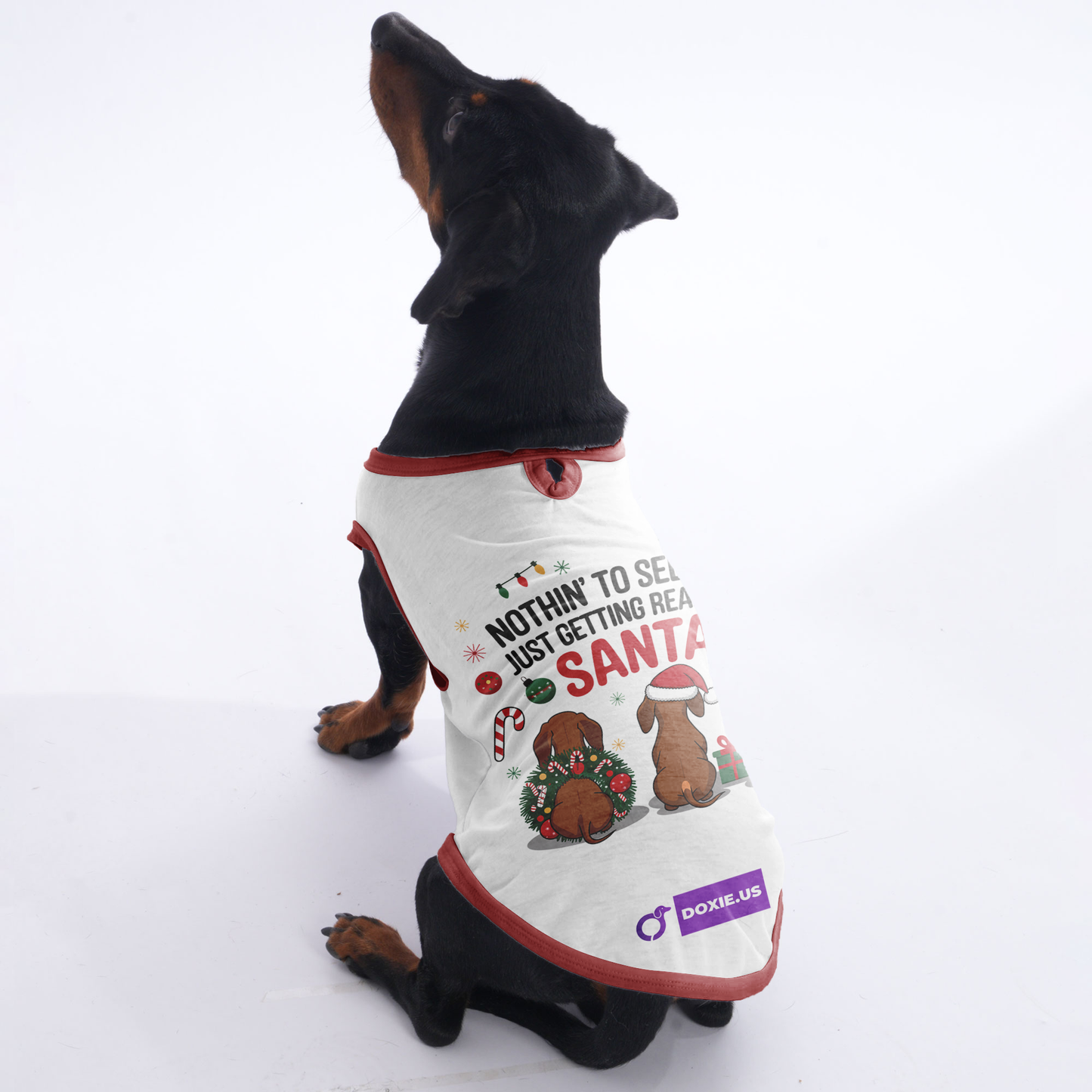 Buddy - Shirt for Dachshunds