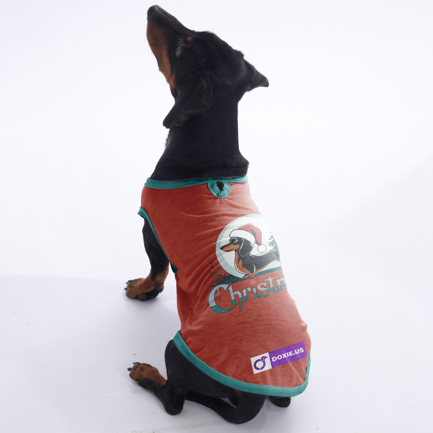 Milo - Shirt for Dachshunds