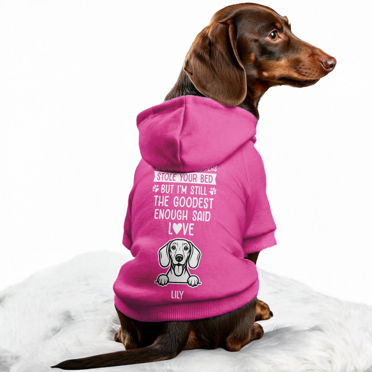 Chewed your slippers - Personalized Dachshund Hoodies with your doxie name – Stylish, Cozy, and Premium 100% Cotton