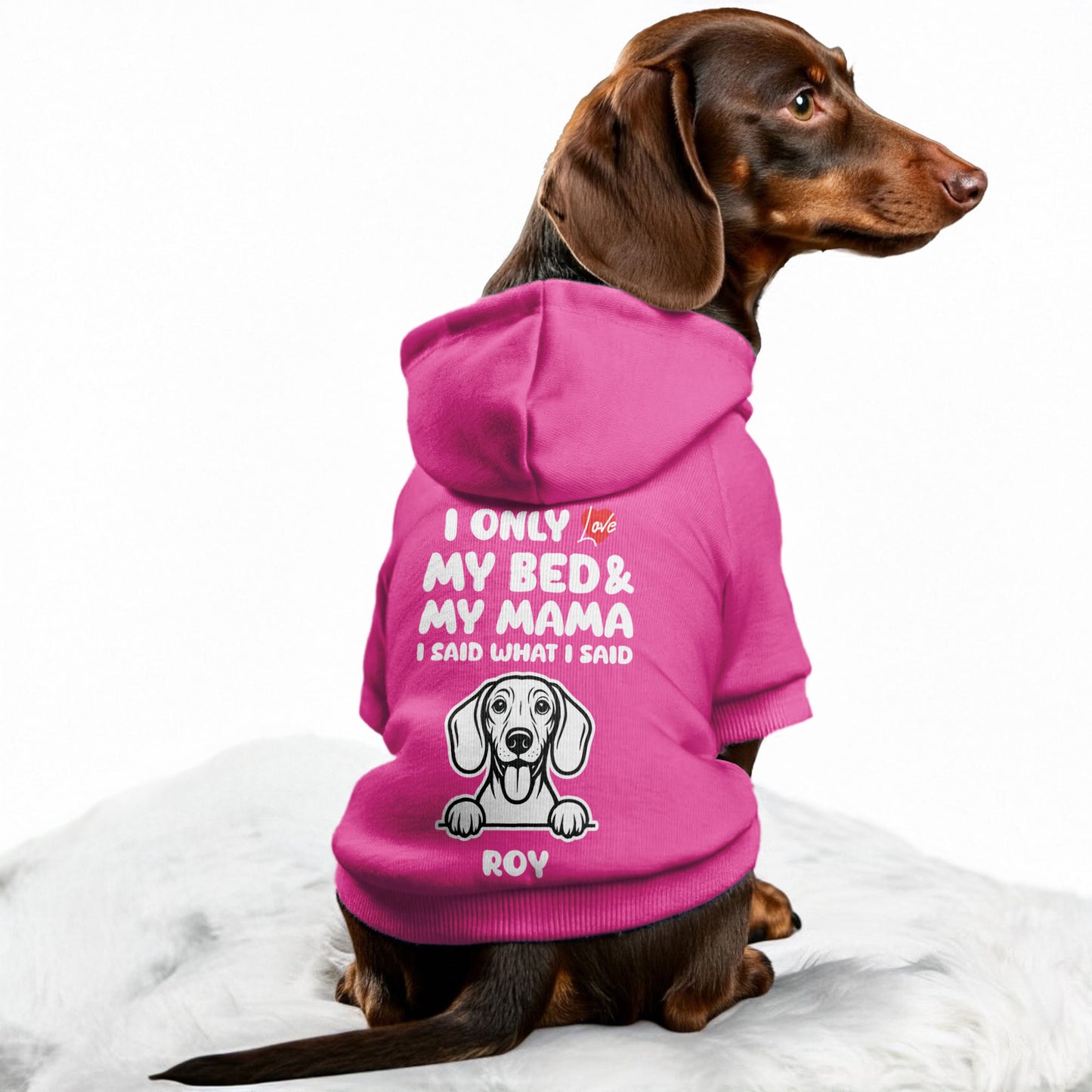 I ONLY LOVE - Personalized Dachshund Hoodies with MAMA or DADA design and your doxie name– Stylish, Cozy, and Premium 100% Cotton