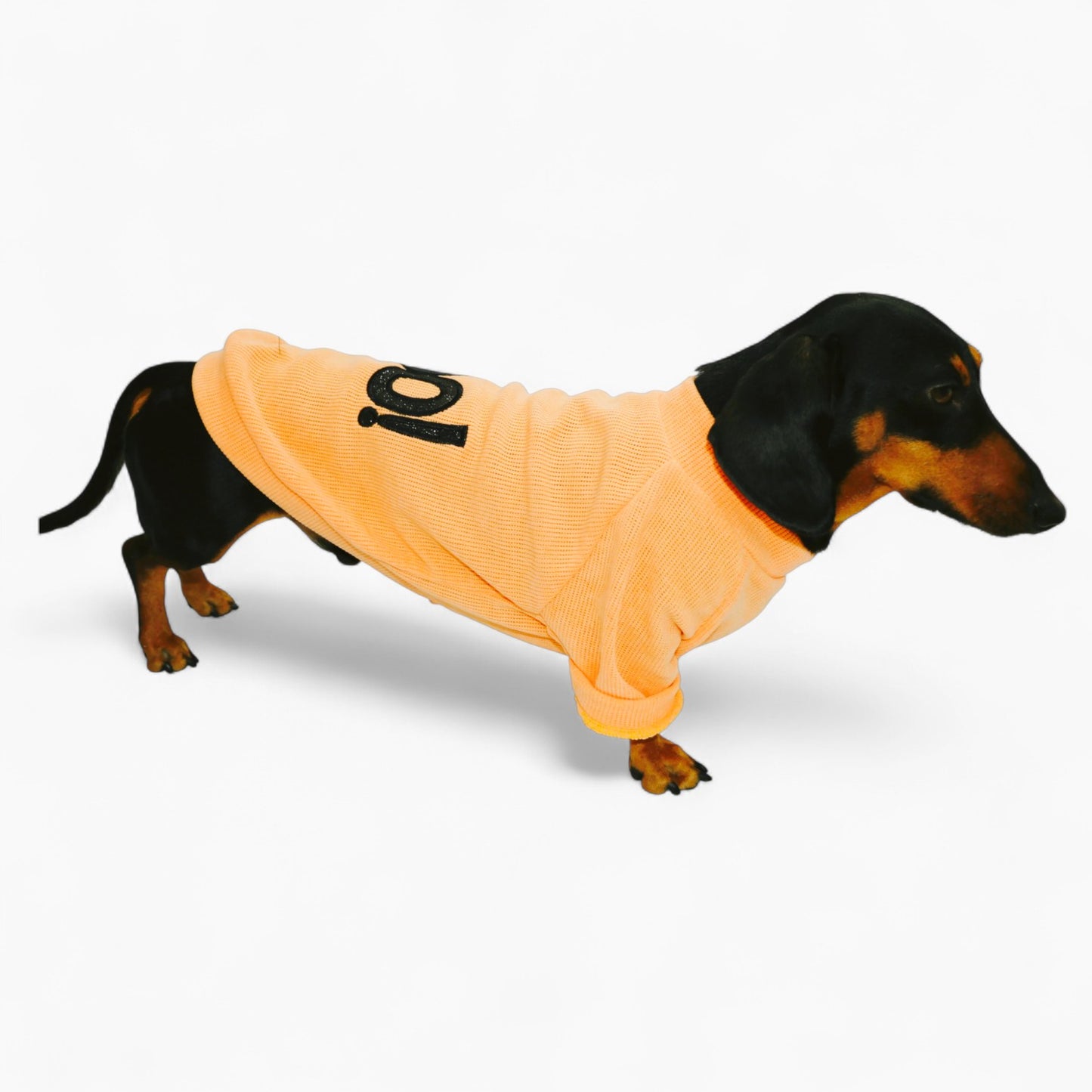 PawBerry-Dachshund-Fleece-Sweater.jpg
