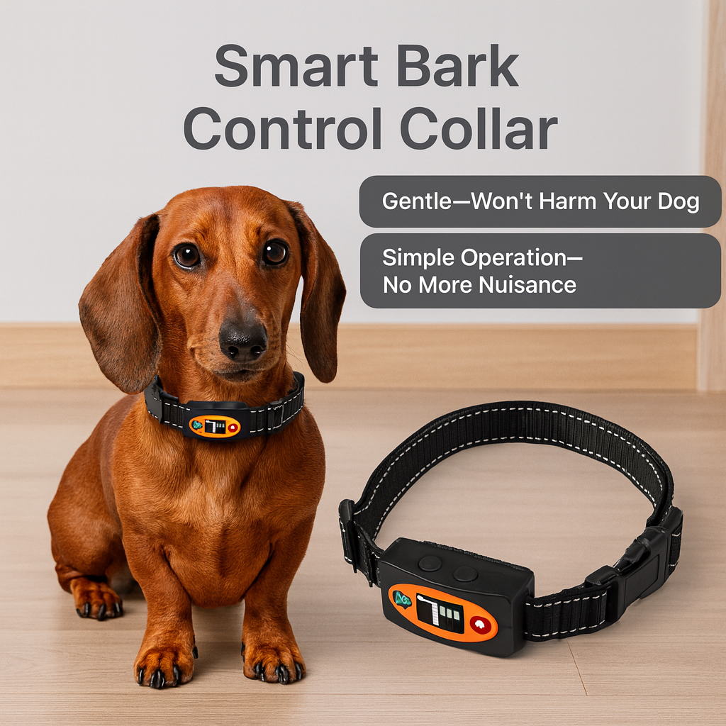 PawGuard-Dachshund-Bark-Control-Collar.jpg