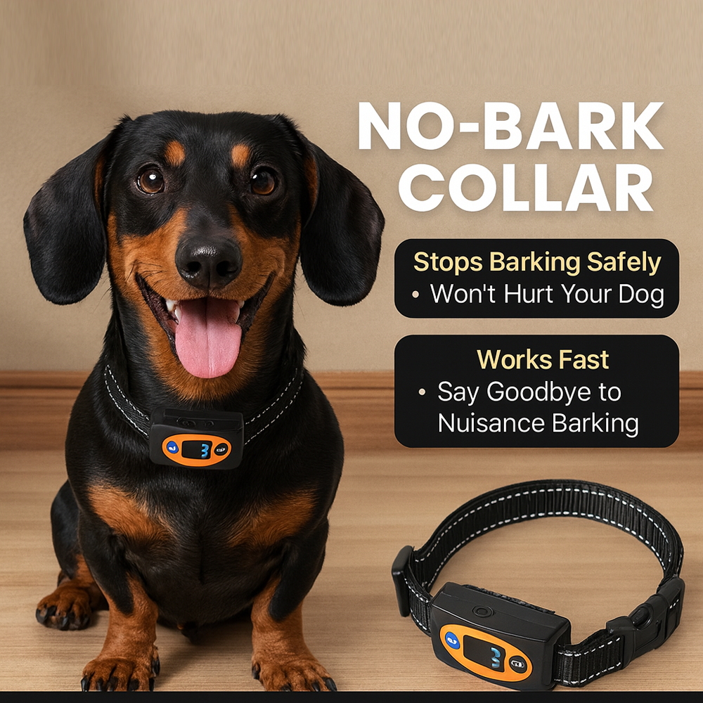 PawGuard-Dachshund-Bark-Control-Collar.jpg