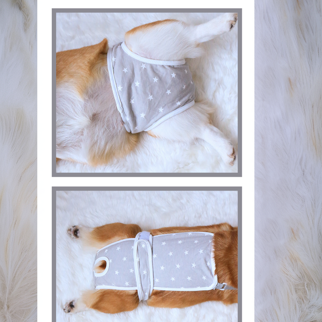 PawLuxe-Dachshund-Heat-Pants.jpg