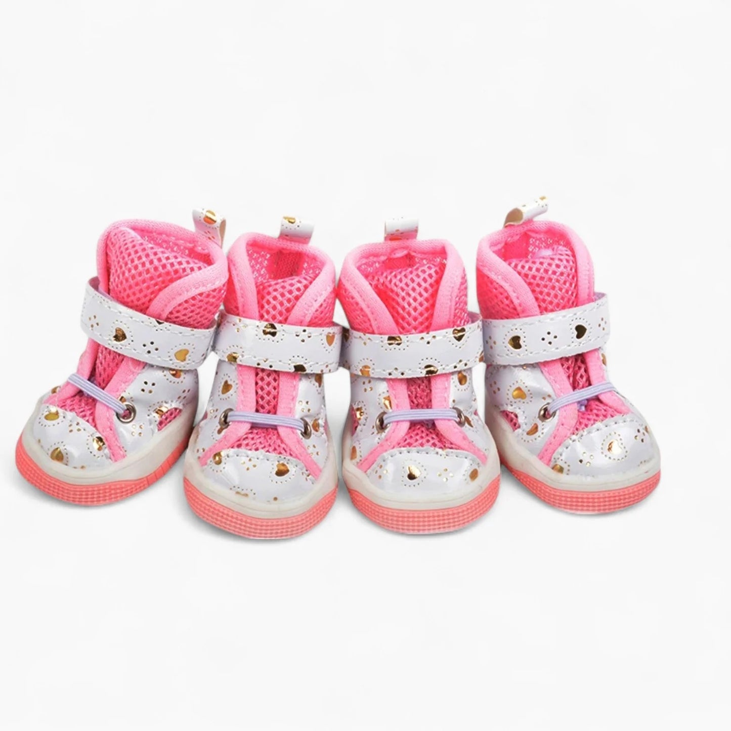 PawTrend-Dachshund-Summer-Sneakers.jpg