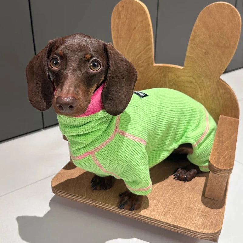 PawVibe-Dachshund-Sweatshirt.jpg