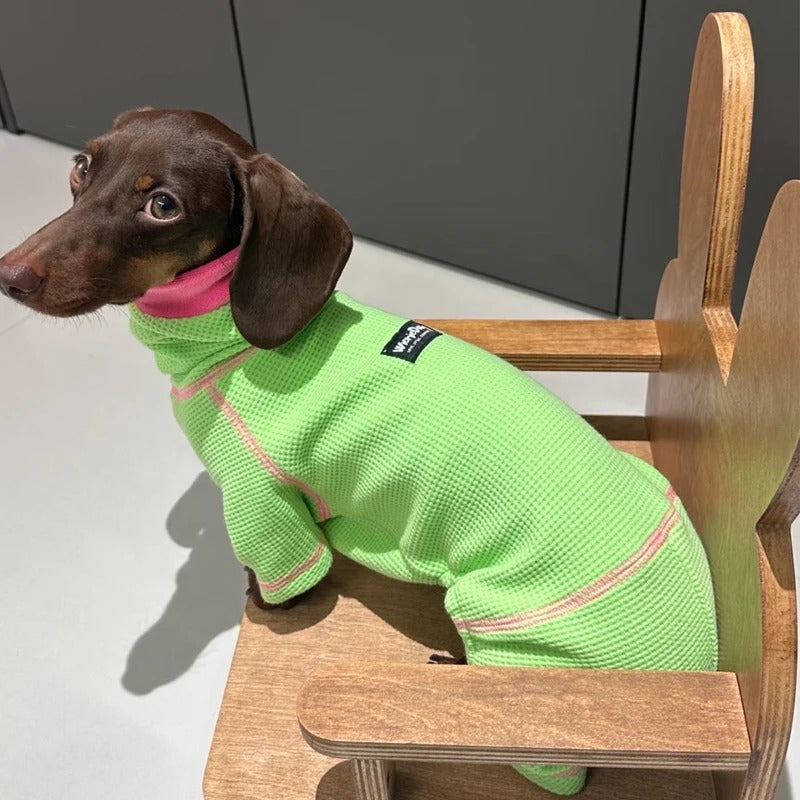 PawVibe-Dachshund-Sweatshirt.jpg