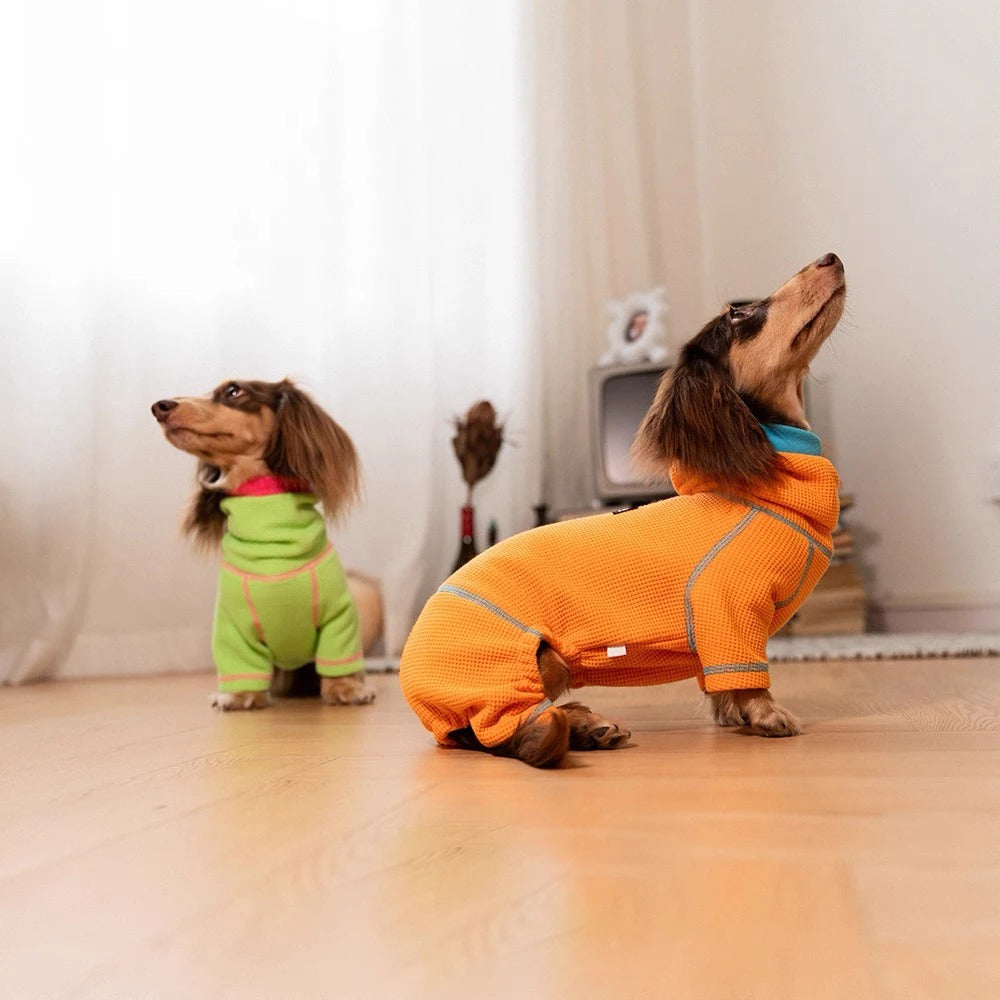 PawVibe-Dachshund-Sweatshirt.jpg