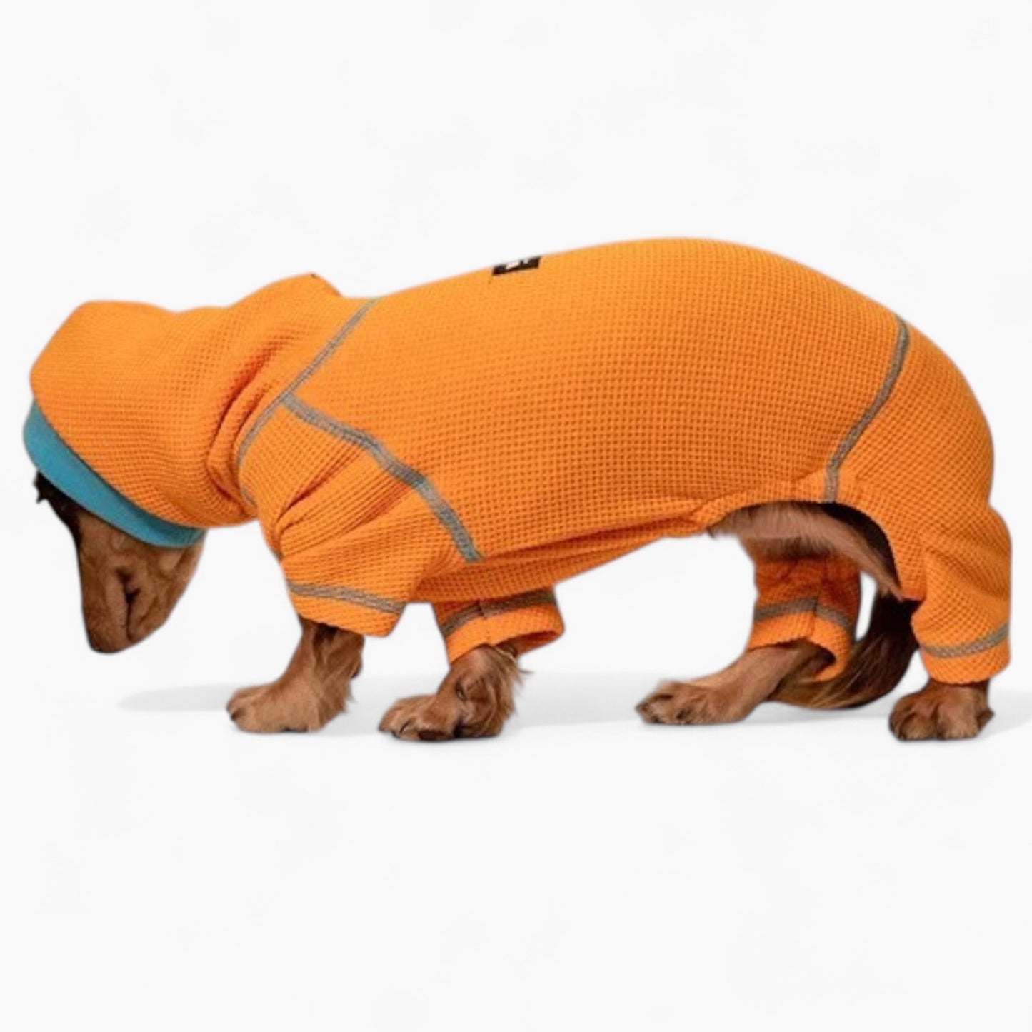 PawVibe-Dachshund-Sweatshirt.jpg