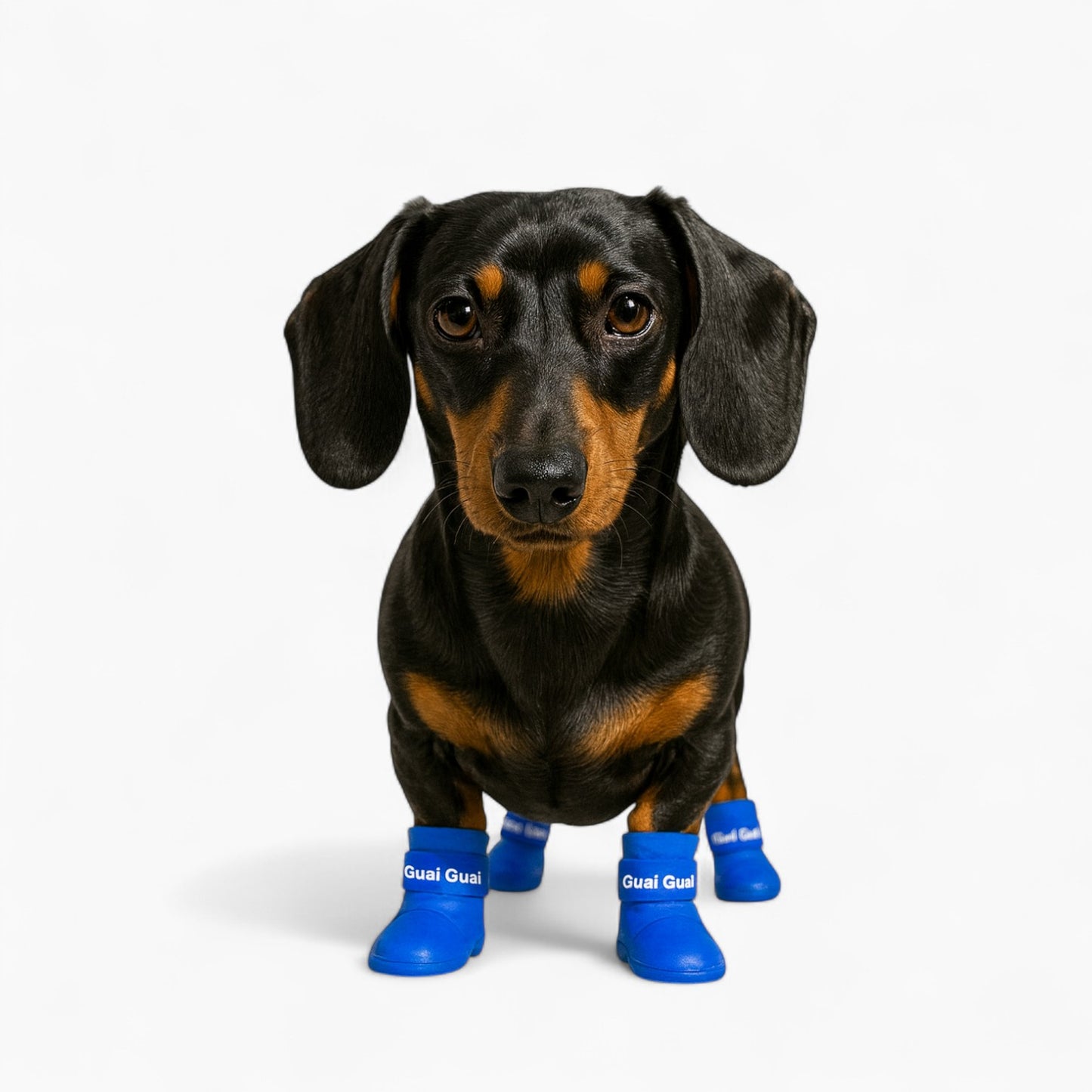 Pawish-Dachshund-Rubber-Boots.jpg