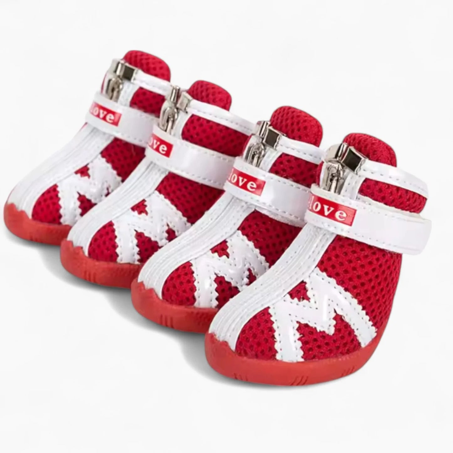 Pawlox-Dachshund-Mesh-Shoes.jpg