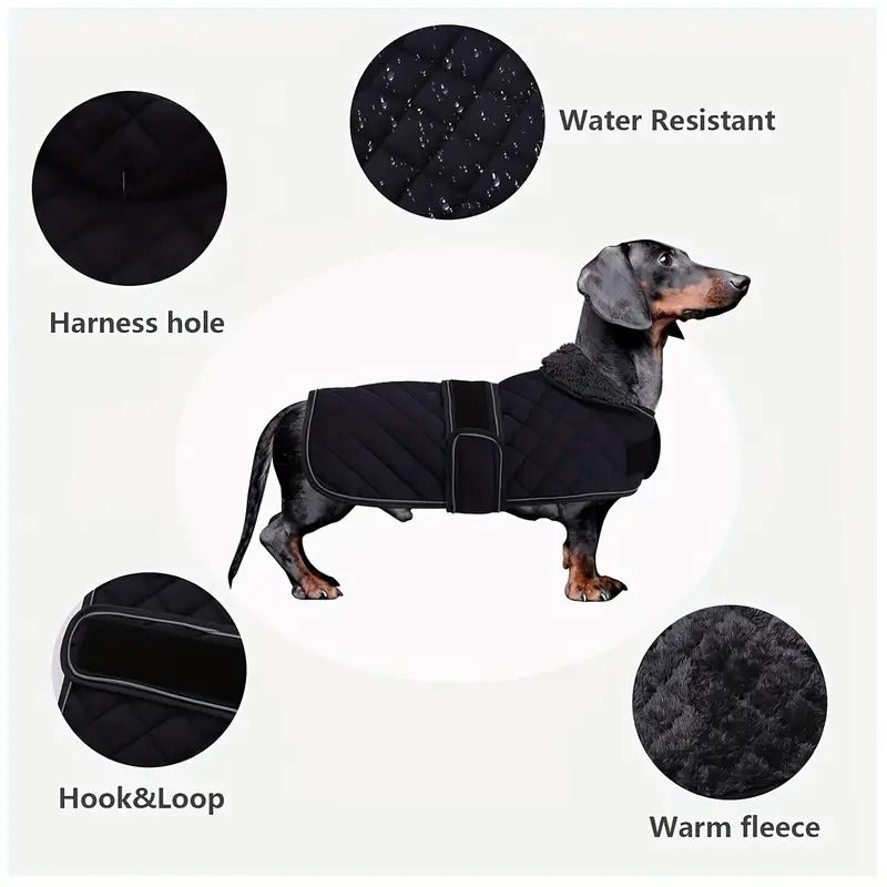 Pawluxe-Dachshund-Winter-Fleece-Coat.jpg