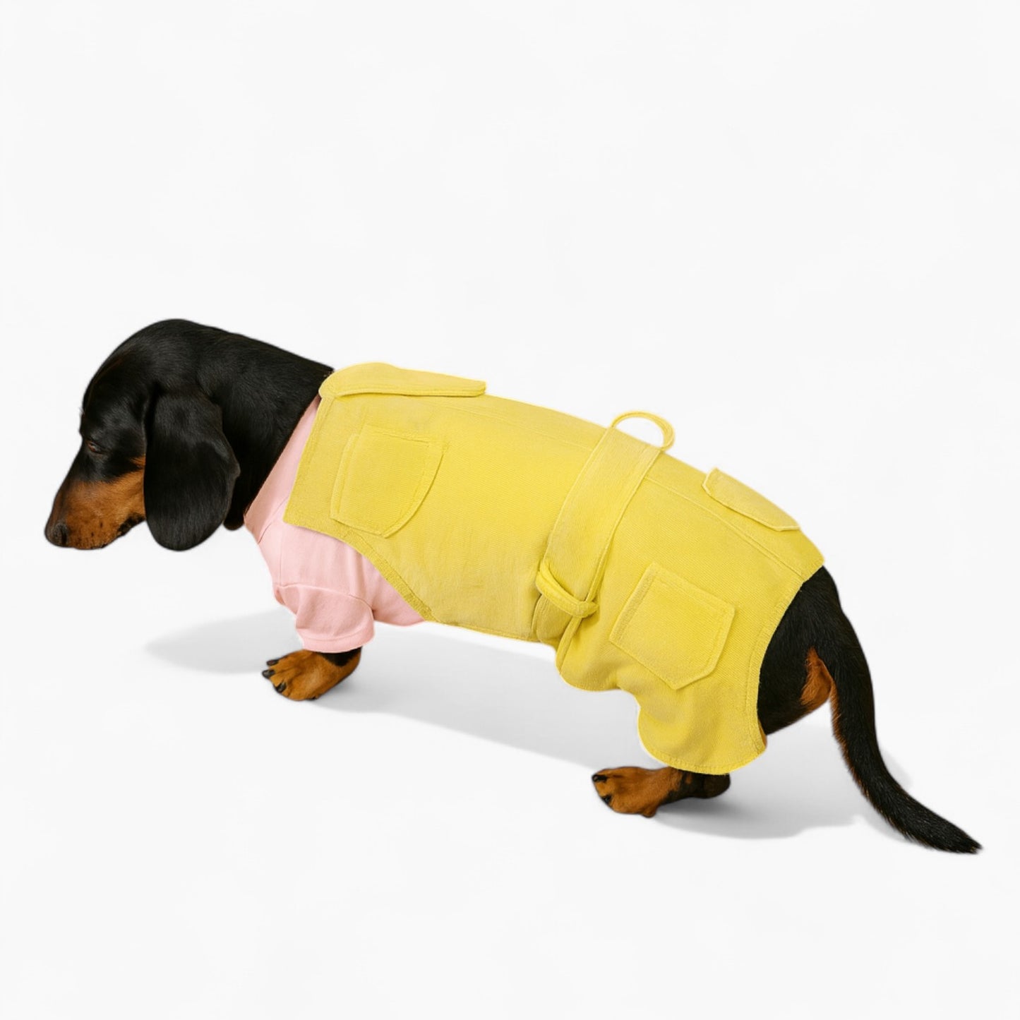 Pawtoria Dachshund Overalls Jumpsuit – Corduroy Winter Dog Outfit
