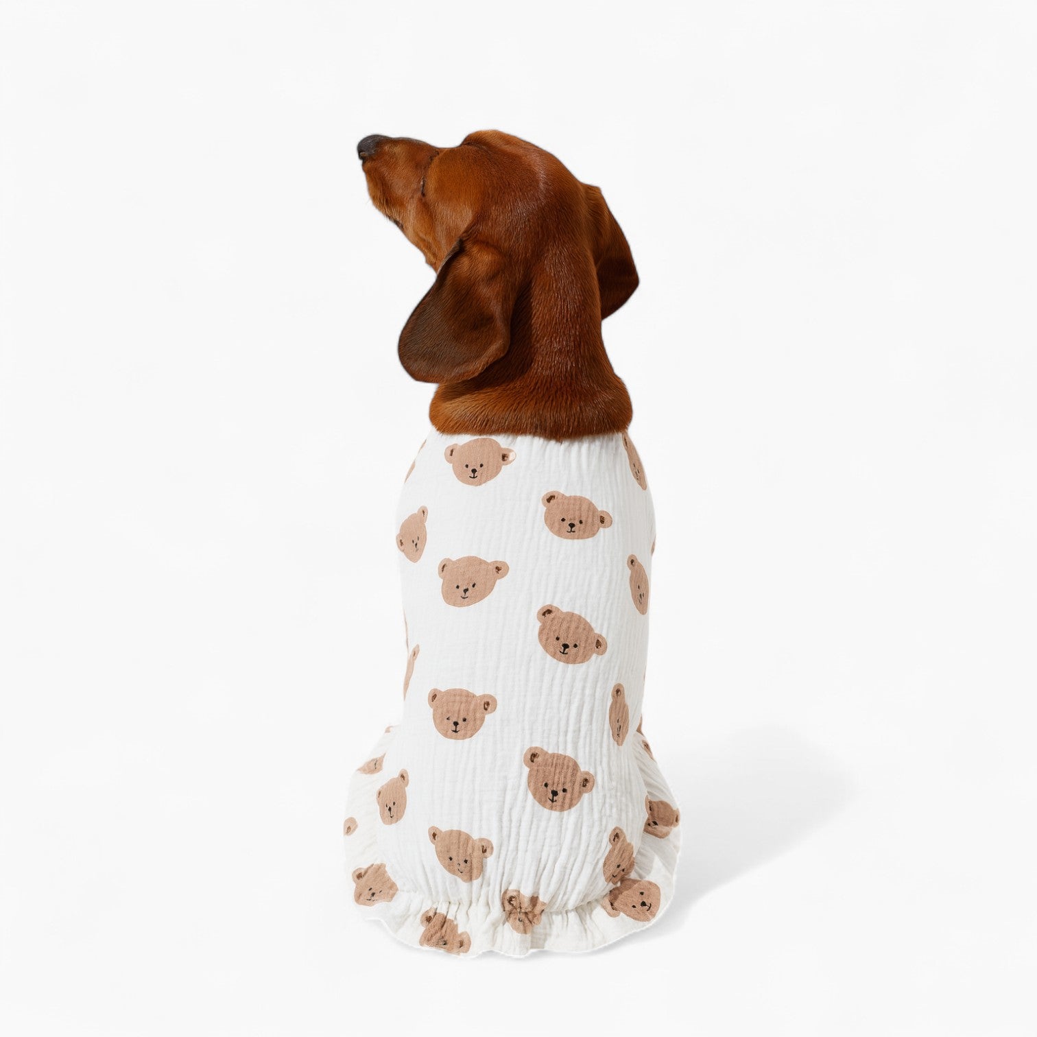 Pawvera-Dachshund-Summer-Dress.jpg