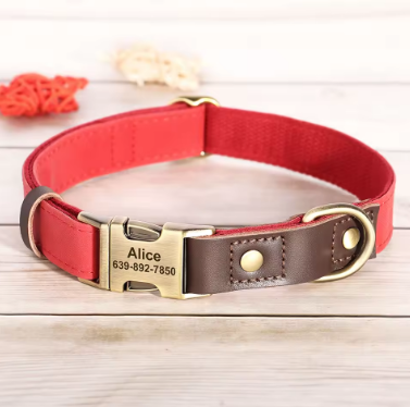 Dachshund-Leather-Collar-with-Leash-Personalized-Engraved-ID-Adjustable.jpg