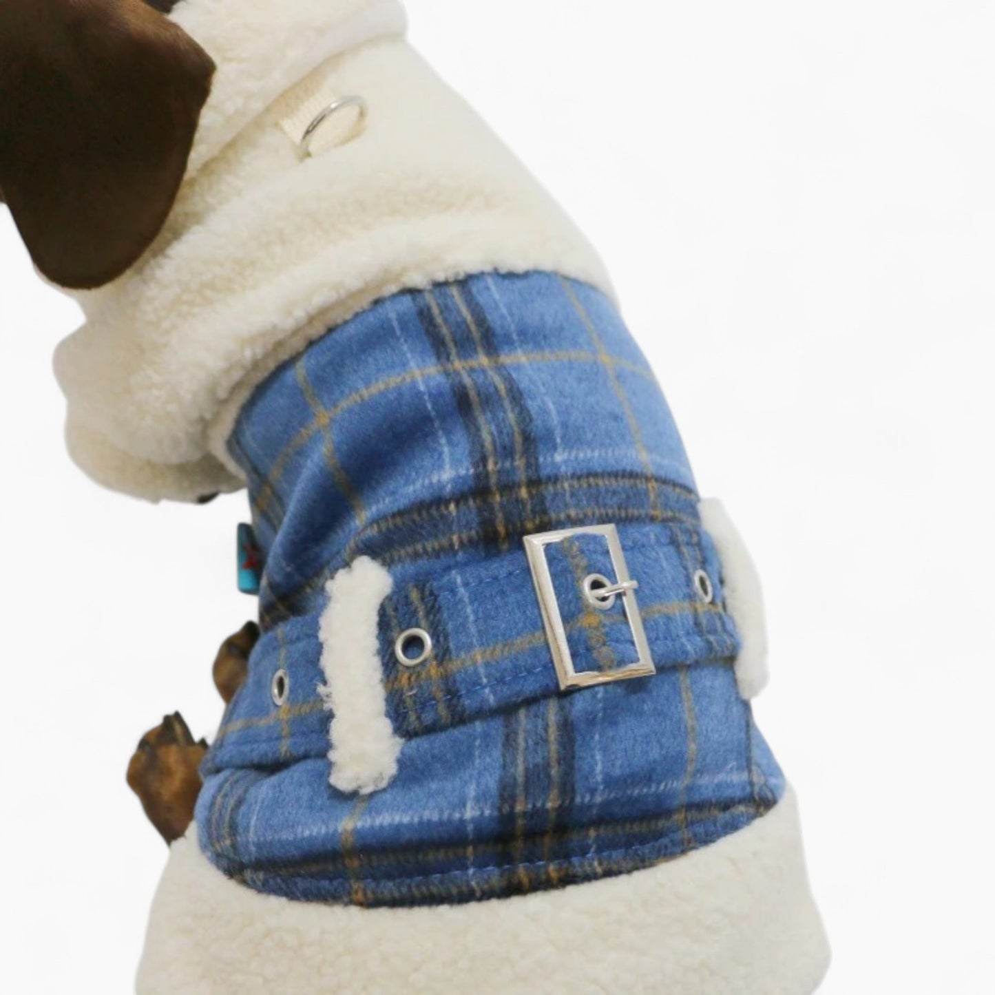 PlaiDox Dachshund Winter Jacket