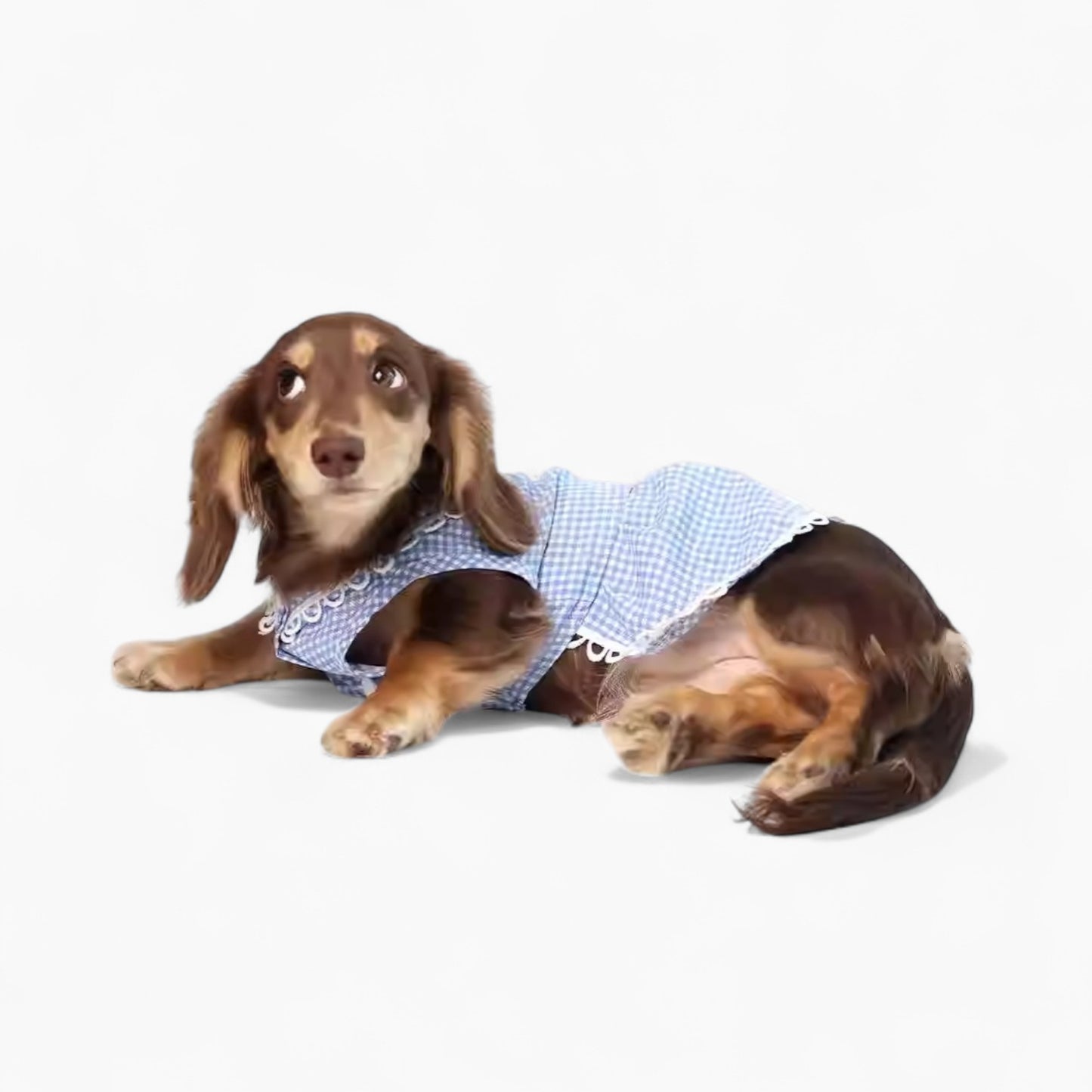PlaidCharm Dachshund Summer Dress – Lightweight Cute Doll Collar Outfit