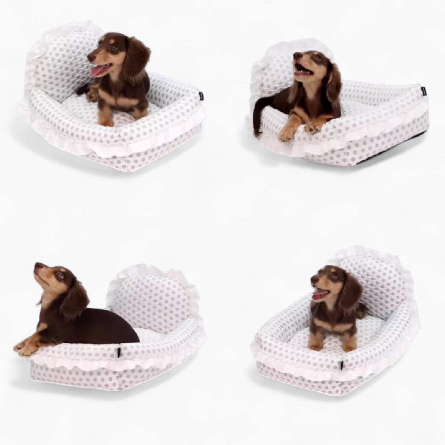 PolkaDot-Dachshund-Princess-Bed.jpg