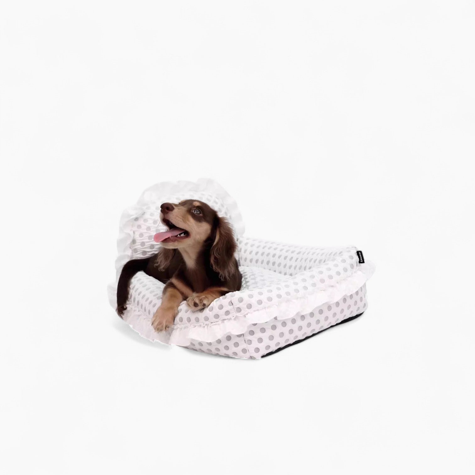 PolkaDot-Dachshund-Princess-Bed.jpg