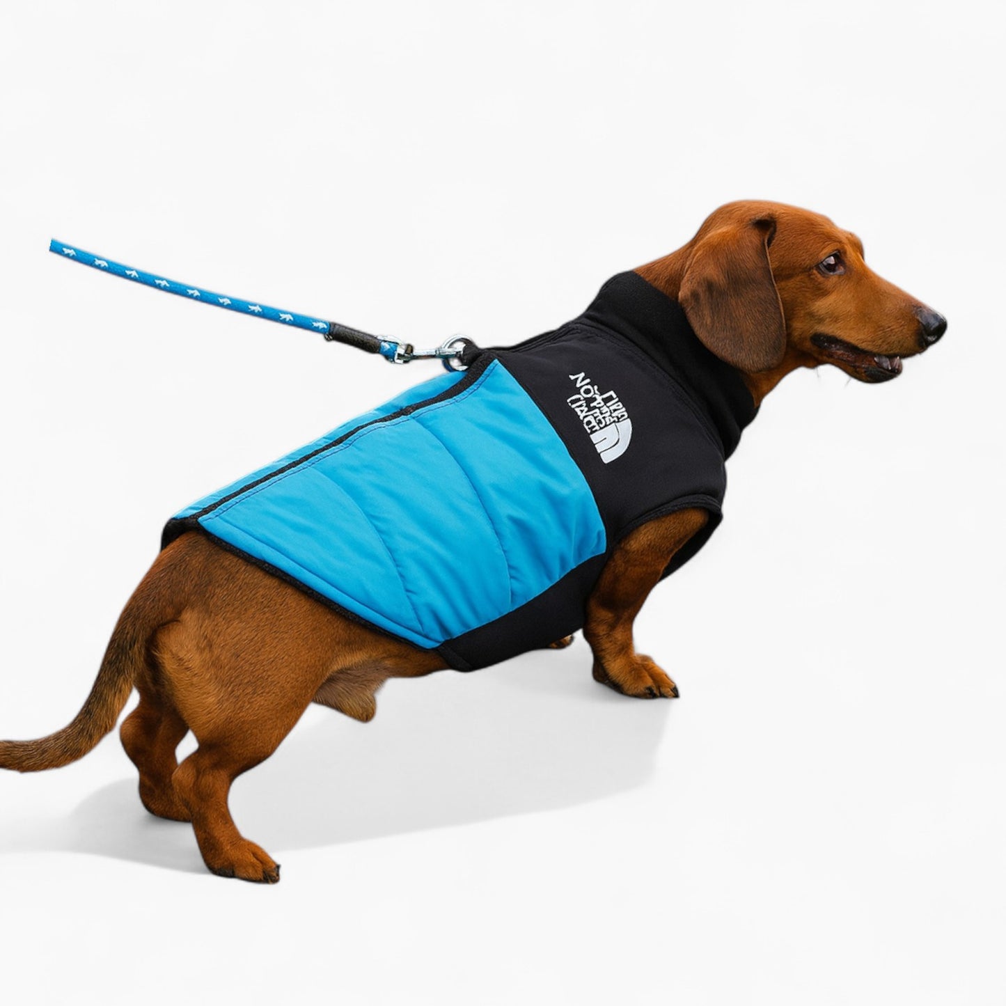 PupShield-Dachshund-Waterproof-Jacket.jpg