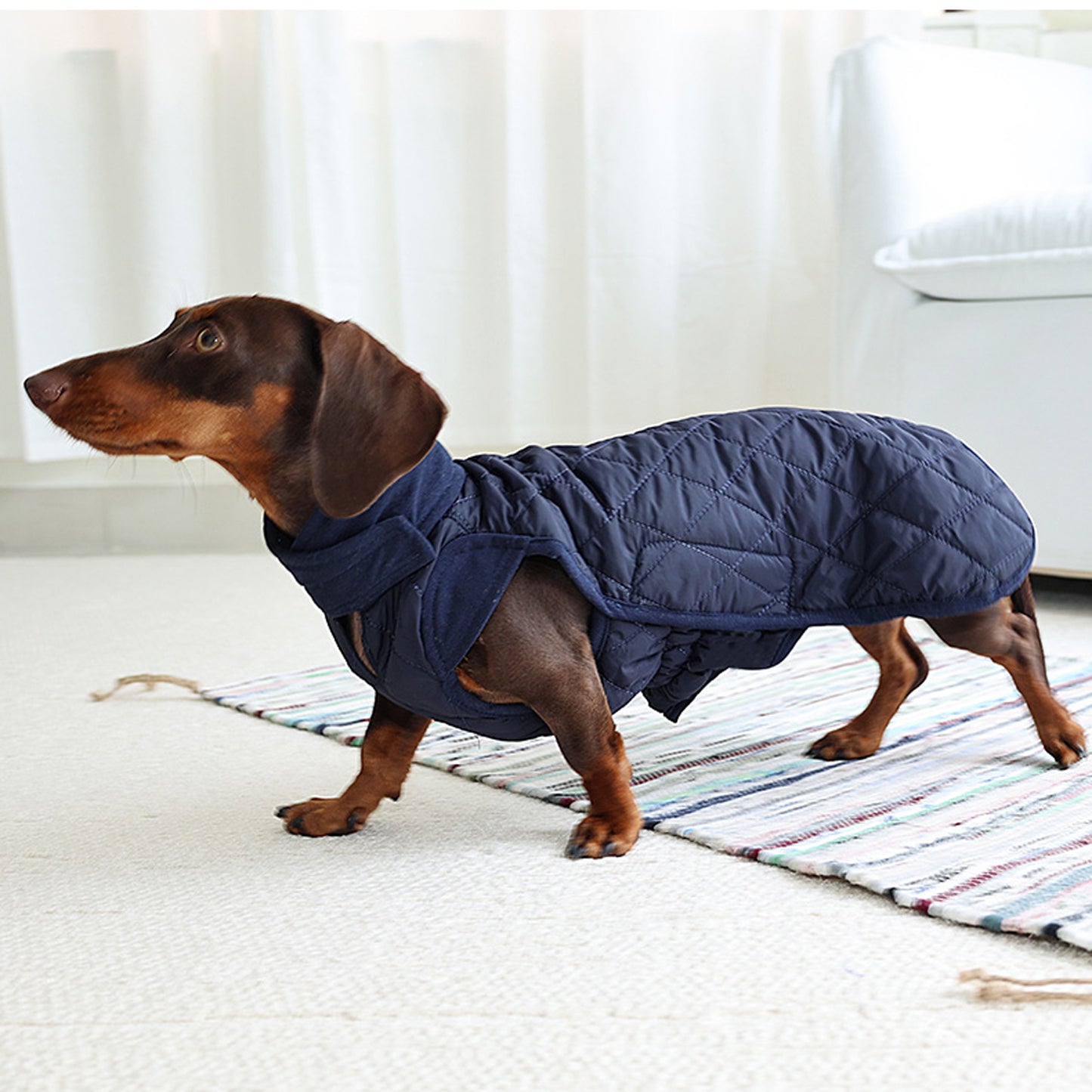 Quilted-Dachshund-Winter-Coat.jpg