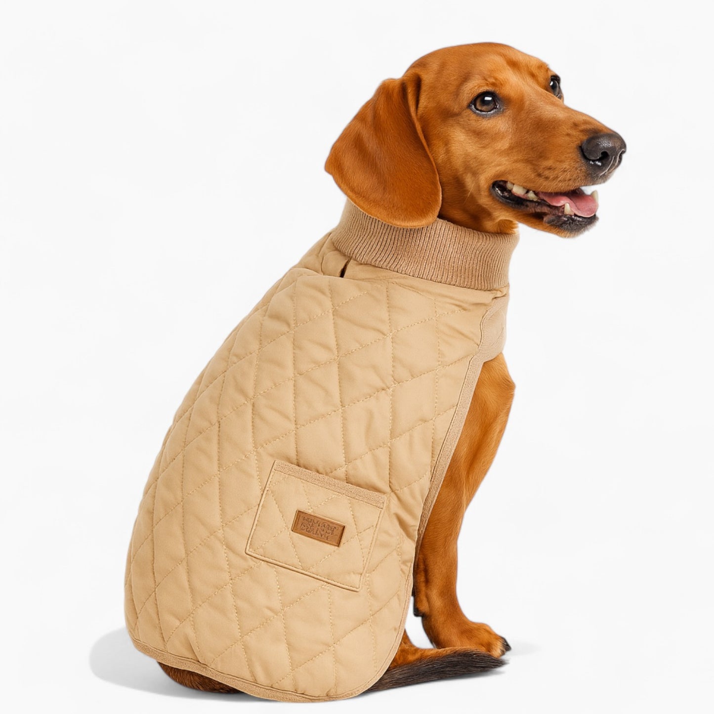Quilted-Dachshund-Winter-Coat.jpg