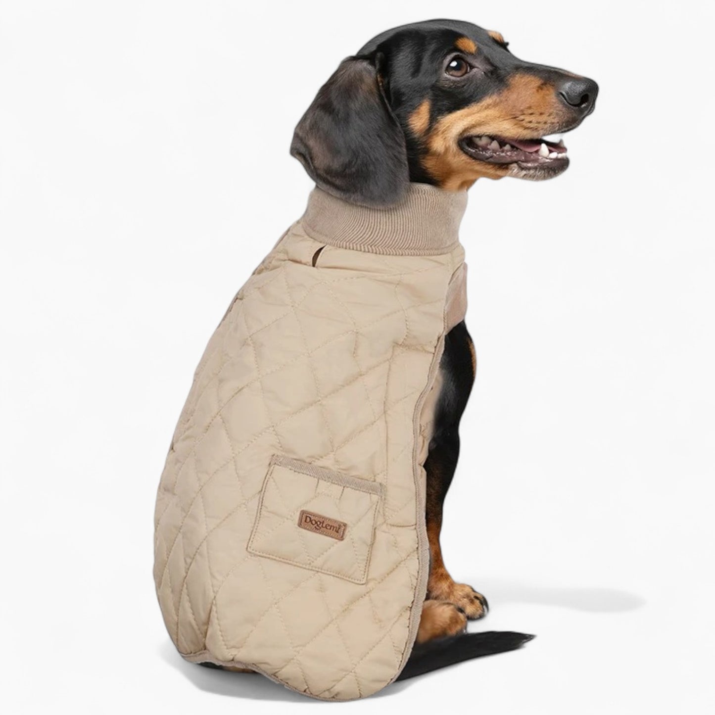 Quilted-Dachshund-Winter-Coat.jpg