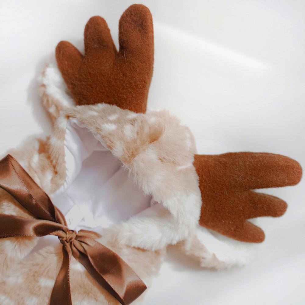 ReinPup-Dachshund-Elk-Cape.jpg