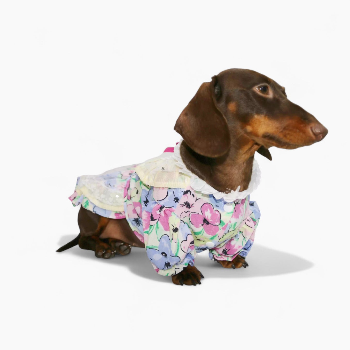 RetroLady-Dachshund-Dress-Set.jpg