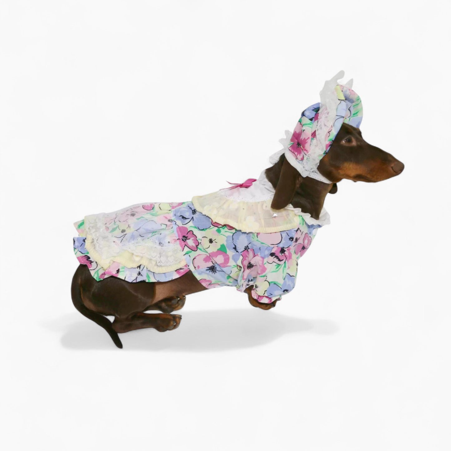 RetroLady-Dachshund-Dress-Set.jpg