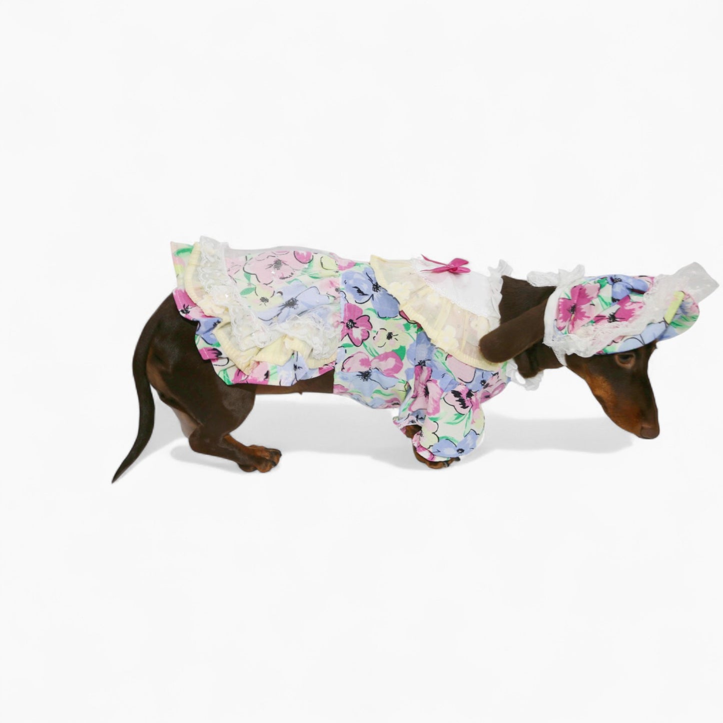 RetroLady-Dachshund-Dress-Set.jpg