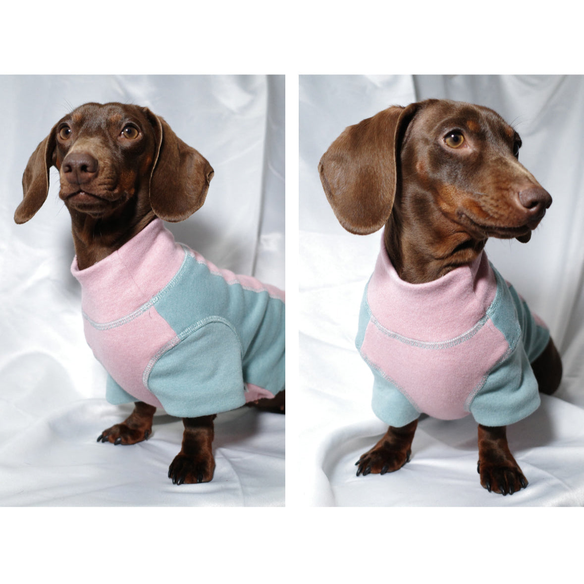 CozyTail Dachshund High-Neck Shirt – Soft Breathable Long Sleeve Dog Tee