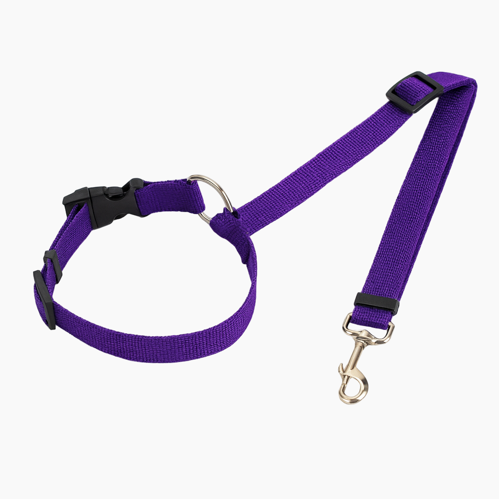 SafePaw-Dachshund-Car-Seat-Belt.jpg