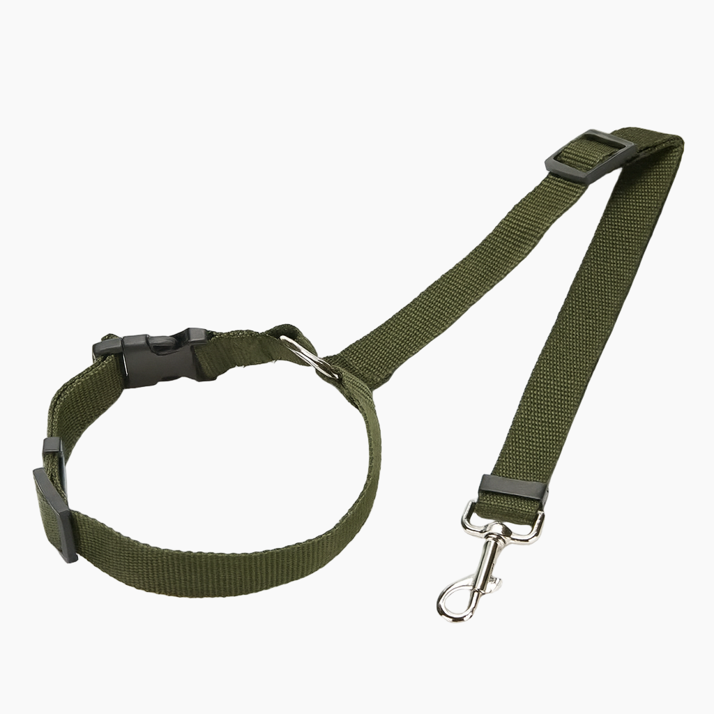 SafePaw-Dachshund-Car-Seat-Belt.jpg