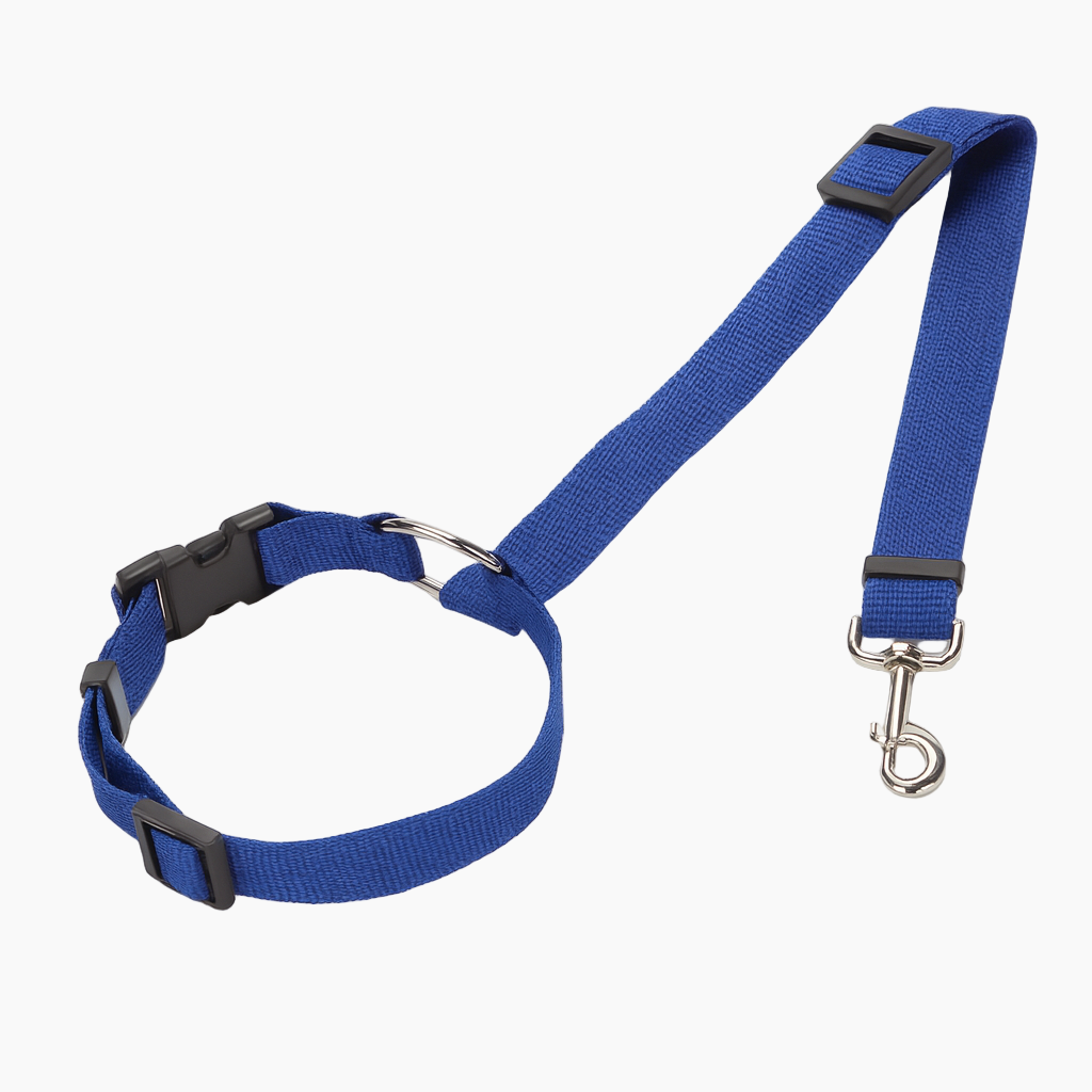 SafePaw-Dachshund-Car-Seat-Belt.jpg