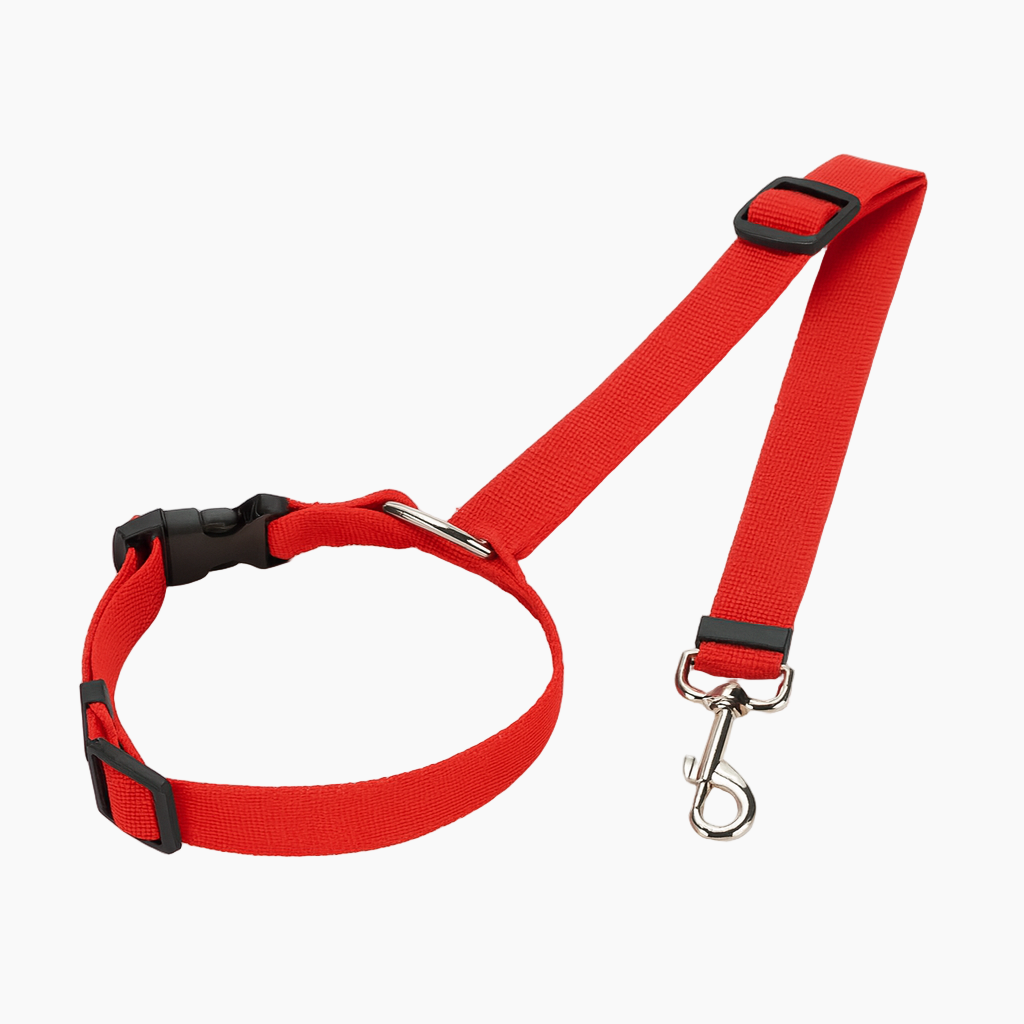 SafePaw-Dachshund-Car-Seat-Belt.jpg