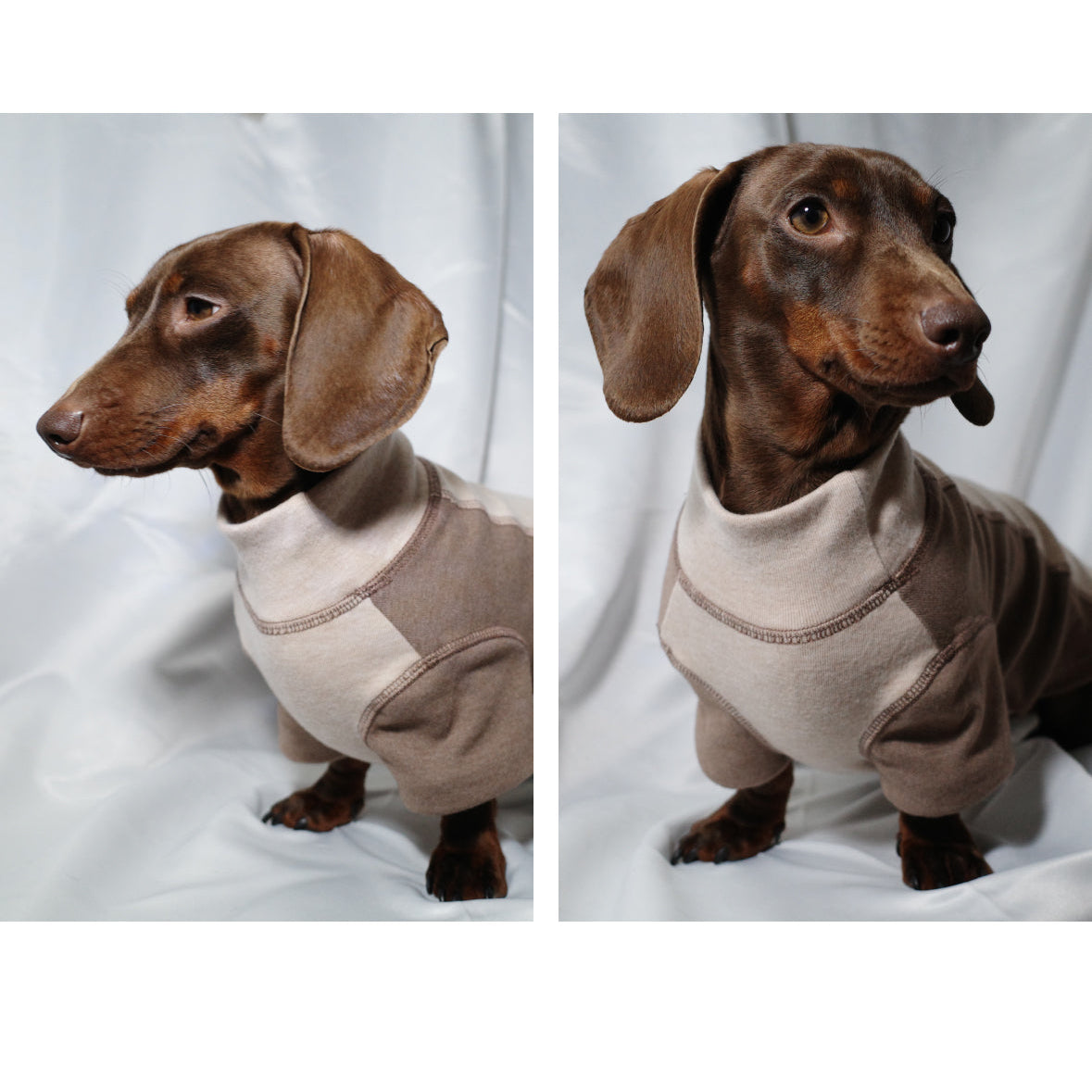 CozyTail Dachshund High-Neck Shirt – Soft Breathable Long Sleeve Dog Tee