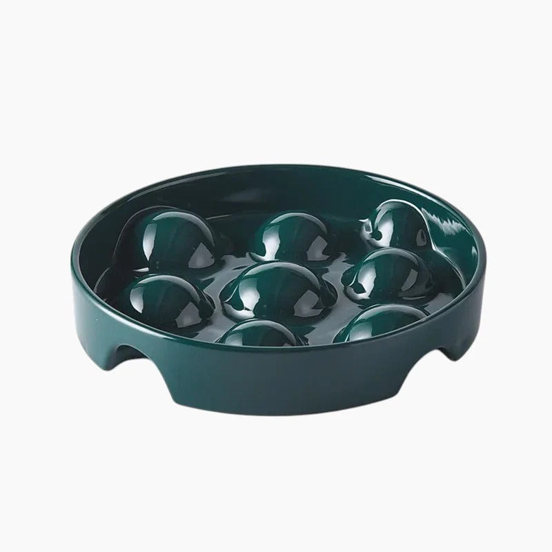 Slowpup-Dachshund-Bowl.jpg