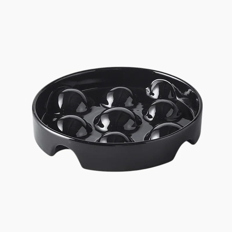 Slowpup-Dachshund-Bowl.jpg