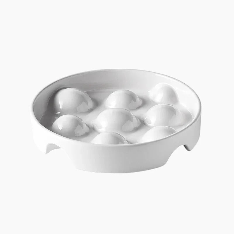 Slowpup-Dachshund-Bowl.jpg