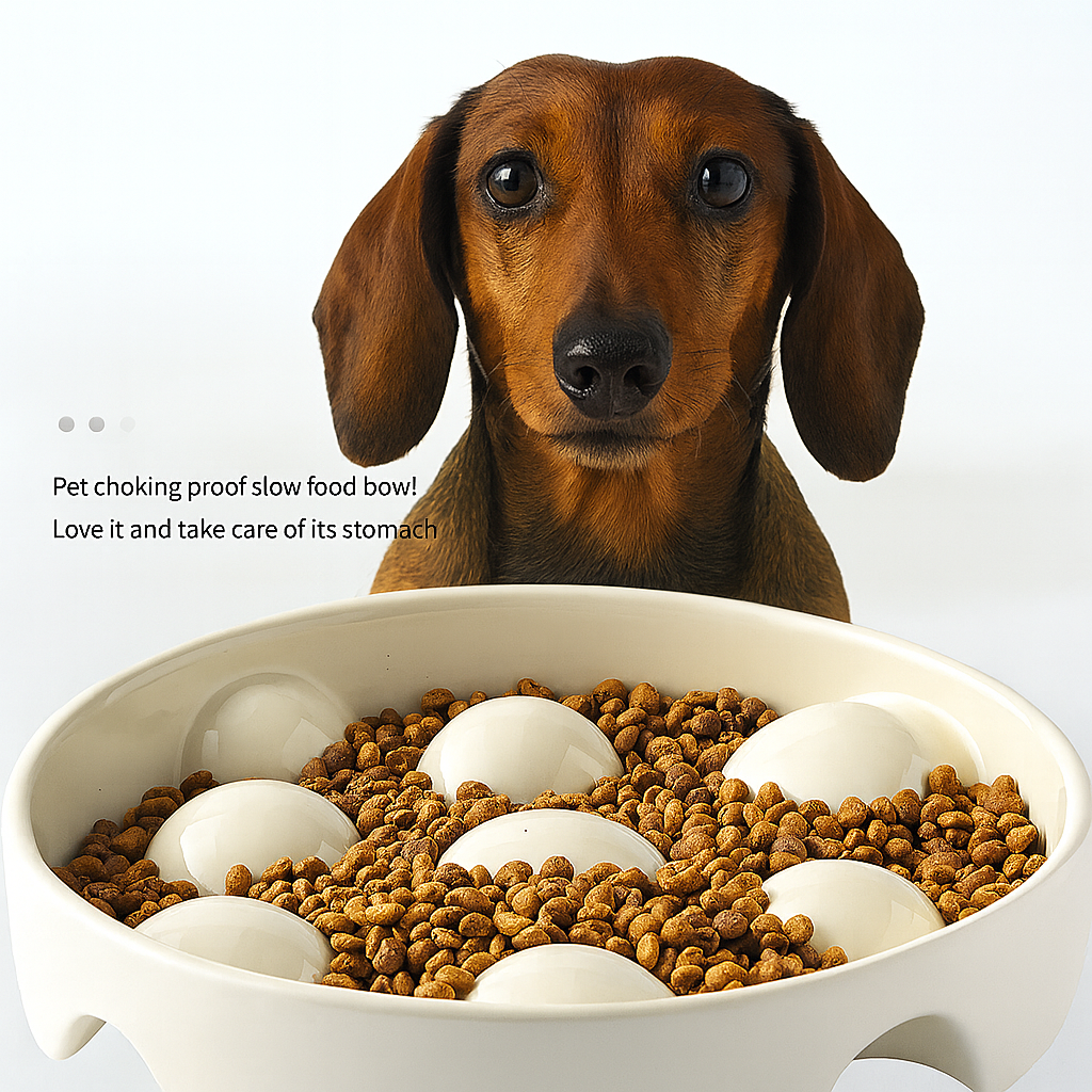 Slowpup-Dachshund-Bowl.jpg