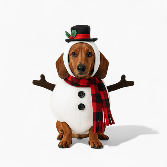 SnoWuff-Dachshund-Christmas-Costume.jpg