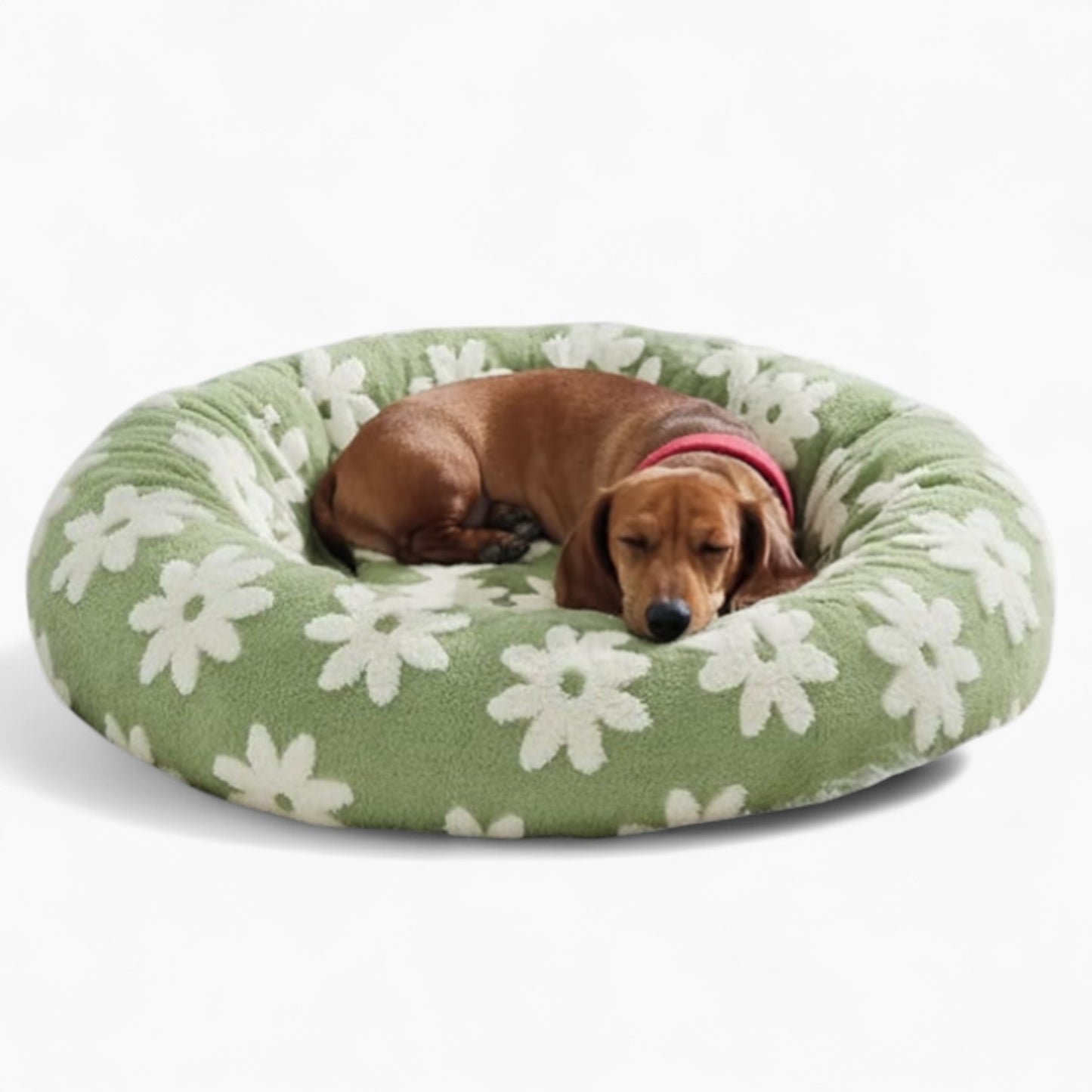 SnoutCircle-Dachshund-Bed.jpg