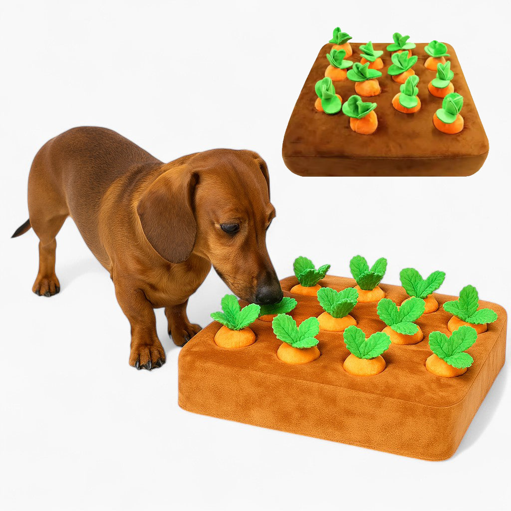 SnoutPatch-Dachshund-Carrot-Puzzle-Toy.jpg