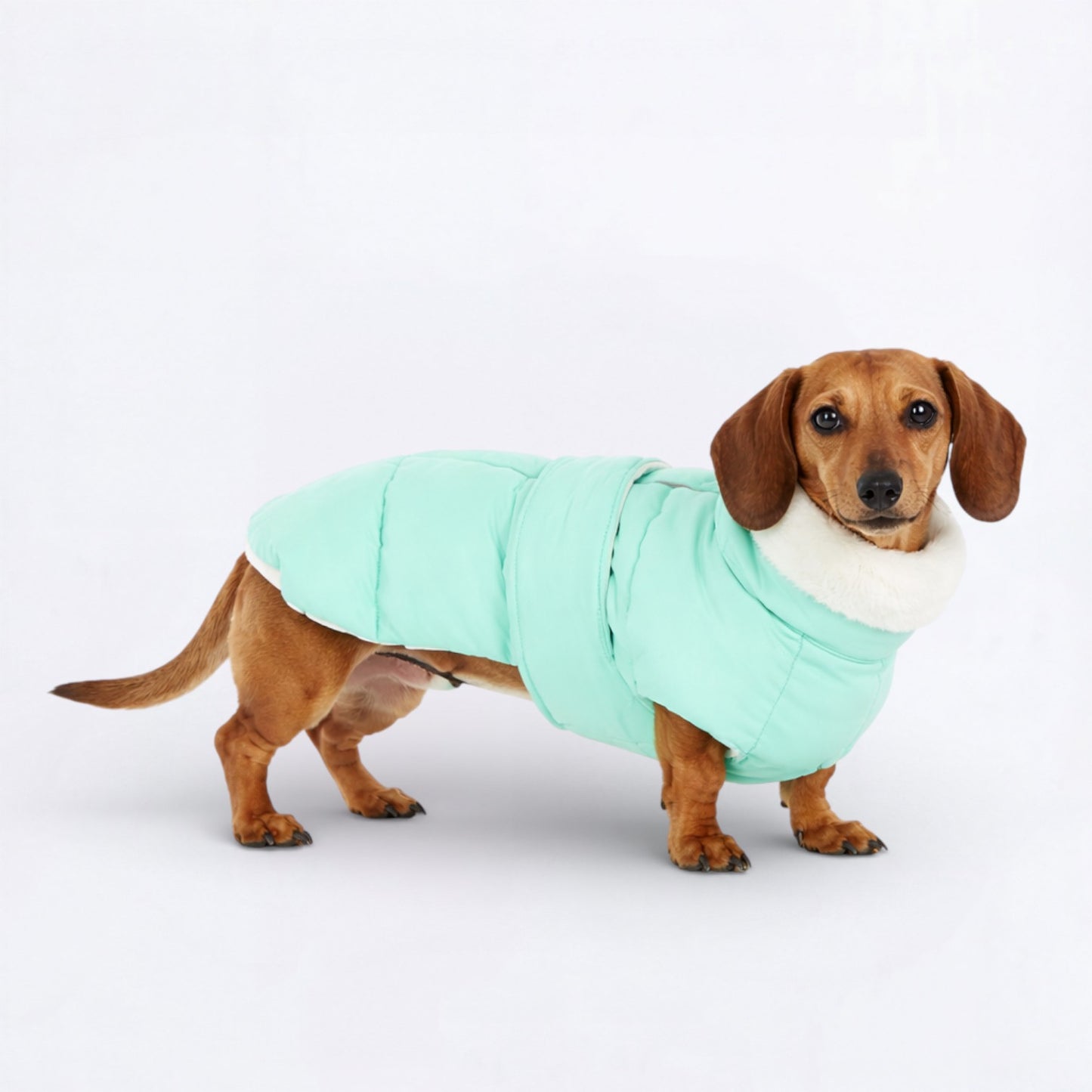 SnugglePup-Dachshund-Winter-Vest.jpg