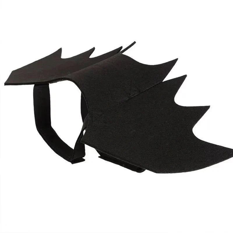 SpookyPaws-Dachshund-Bat-Wings.jpg