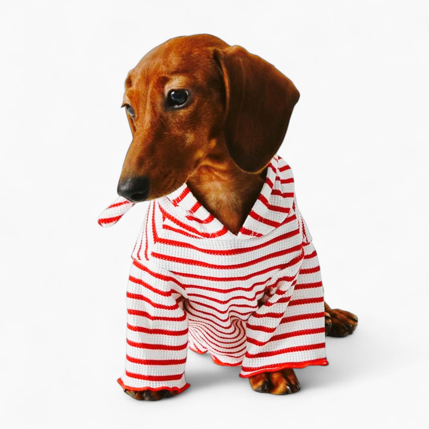 StripeTail-Dachshund-Striped-Hoodie.jpg