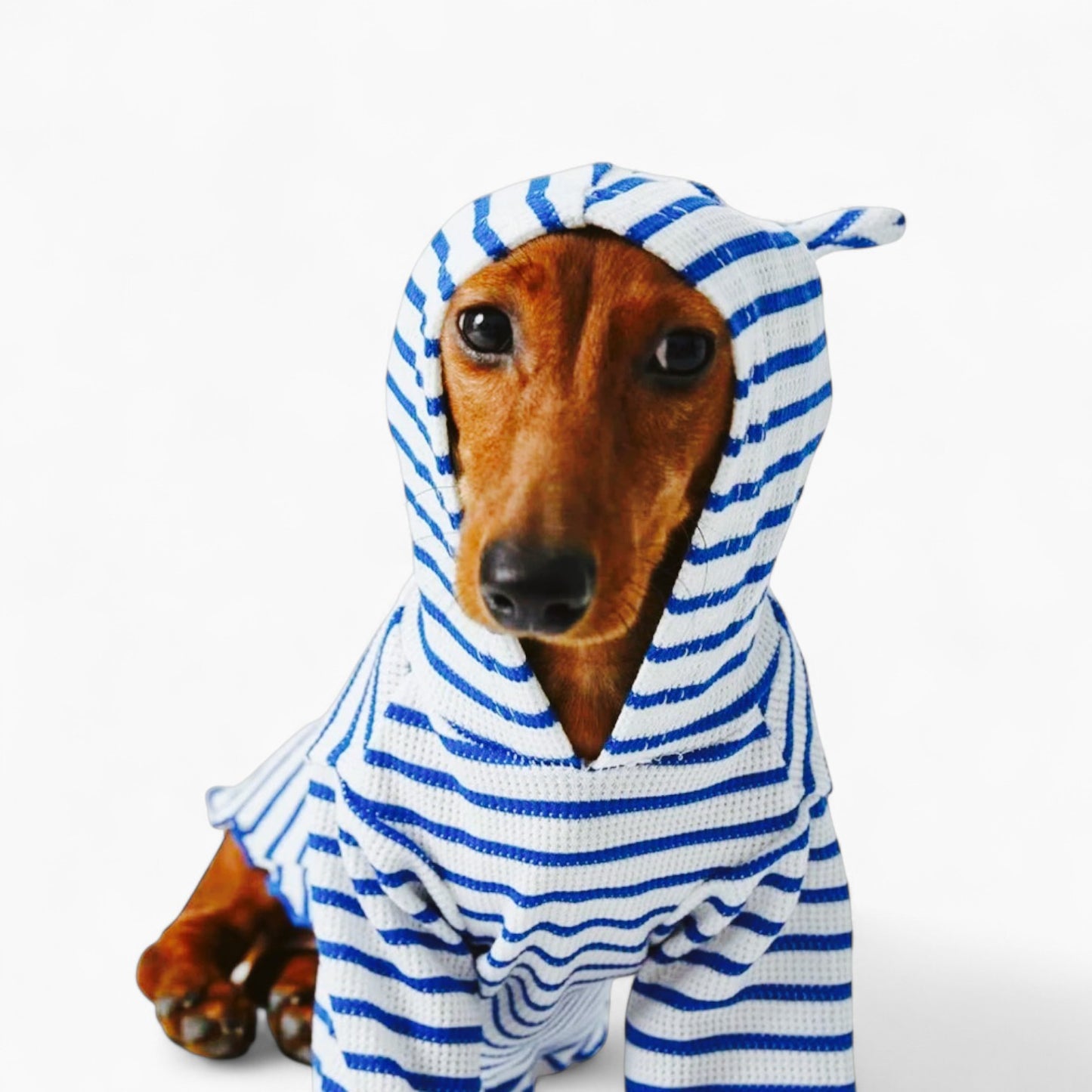 StripeTail-Dachshund-Striped-Hoodie.jpg