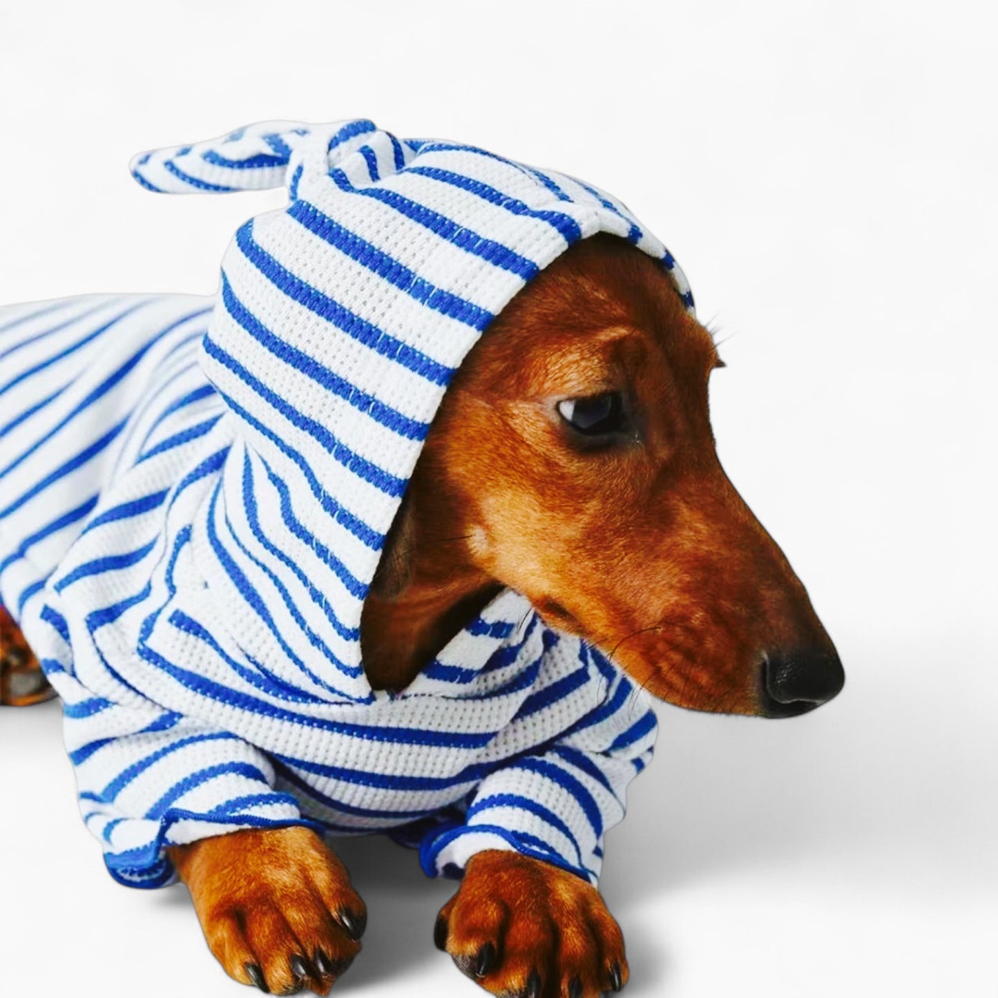 StripeTail-Dachshund-Striped-Hoodie.jpg